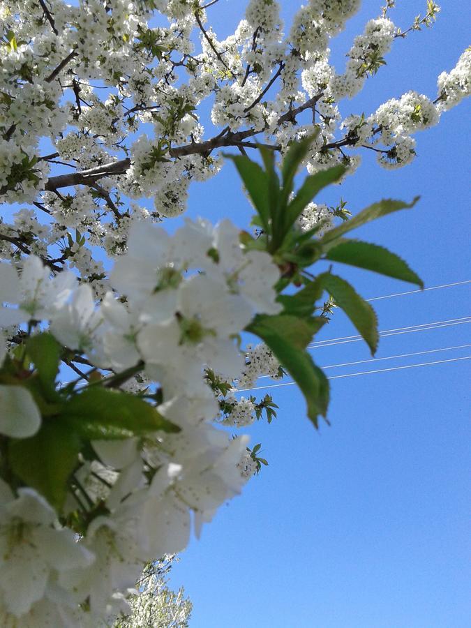 Gacka Rooms Vrhovine 外观 照片